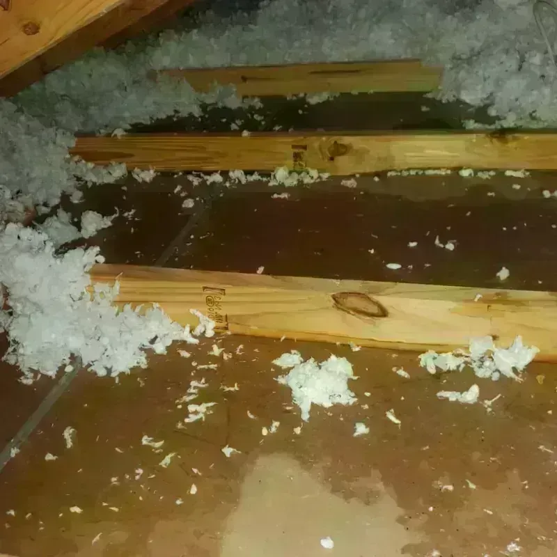 Attic Water Damage in Lisbon, ND