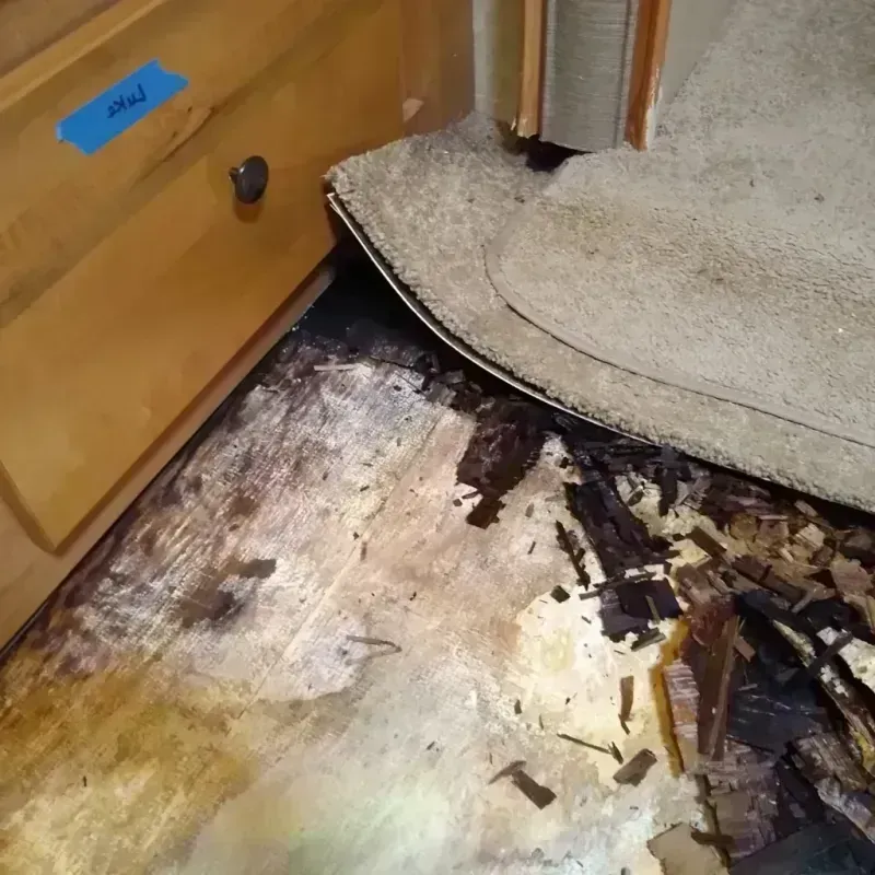 Wood Floor Water Damage in Lisbon, ND